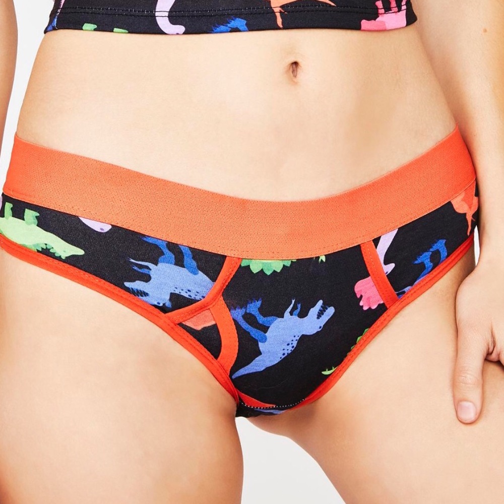 dELiA*s by Dolls Kill Dino-Mite Boy Briefs